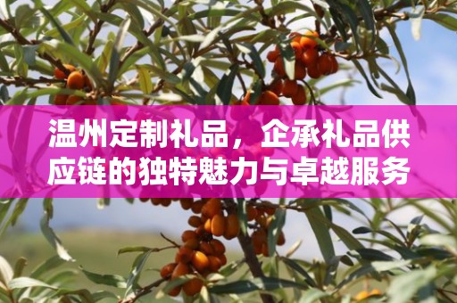 温州定制礼品，企承礼品供应链的独特魅力与卓越服务